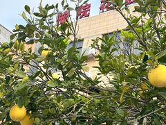 -贵州路便民市场