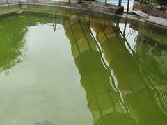 -花水湾第一村温泉大酒店