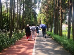 -上海长兴岛郊野公园