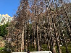 -金山植物公园