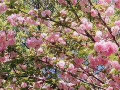 -敬亭山风景名胜区