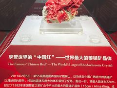 -湖南省地质博物馆