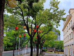 -美兰湖景区