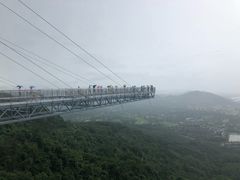 -呀诺达热带雨林