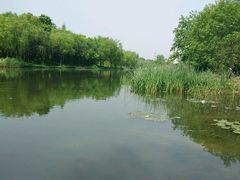-新江湾城公园