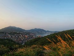 -枸杞岛