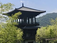 -大唐贡茶院