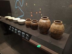 -盘龙城国家考古遗址公园