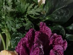 -老墙根涮肉·铜锅·烧烤(欢乐谷·王四营店)