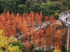-梅峰山地公园
