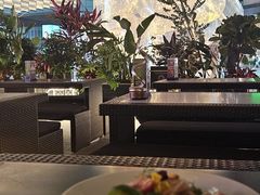 -haxnbauer海森堡德国餐厅(深圳coco店)