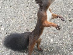 -和生记牛肉火勺店(汇兴家园店)