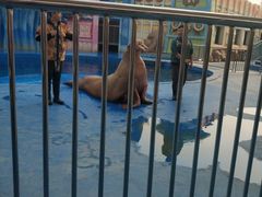 -华夏文旅海洋公园