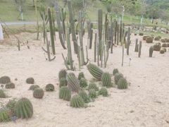 -东莞植物园