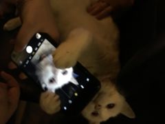 -Doors独立剧情密室(东门分店)