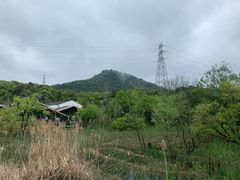 -西湖风景区-江洋畈生态公园