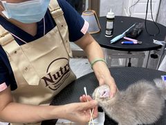 -瑞鹏宠物医院华南总院·夜诊·心脏科·骨科