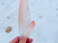 -秦皇岛野生动物园