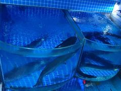 -老班长大酒店(海关大楼店)