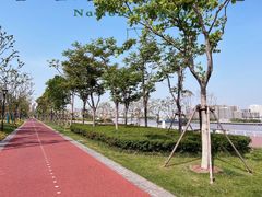 -上海山野camping·户外天幕烧烤·团建拓展营地