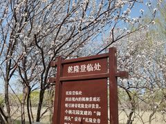 -桃花堤公园