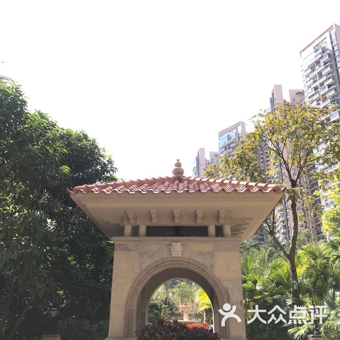 深圳淘金山湖景花园图片