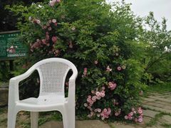 -贵阳市花溪国家城市湿地公园
