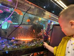 -新辉港式茶餐厅(北栅店)