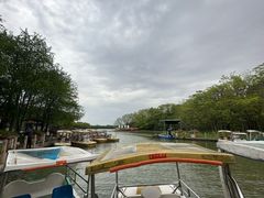 -上海海湾国家森林公园