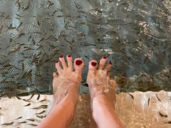 -中家鑫园温泉酒店鑫悦汤泉