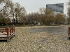 -丰台科技园生态主题公园