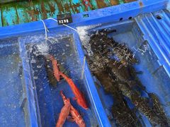 -蓝湾碧波·老字号·疍家非遗海上餐厅