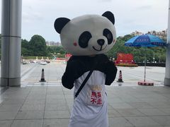 -熊猫不走蛋糕（同城送）(长沙店)