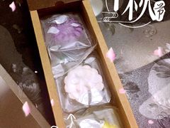 -读宠于你·约克夏比熊·睫角守宫·爬宠售卖(高新店)