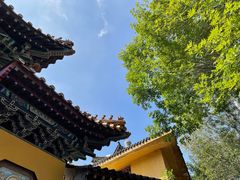 -挂甲禅寺