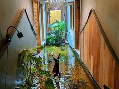 -邈墨茶馆(凤起路店)