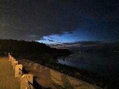 -欢乐海岸椰林沙滩-2025湾区超级灯会
