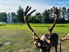 -北极村旅游风景区