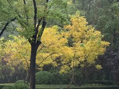 -迎泽公园