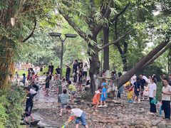 -成都市活水公园