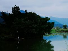 -三垟湿地
