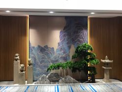 -MJ skin care国际皮肤管理中心