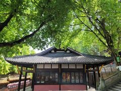 -中国观音故里广德景区