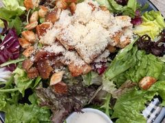 -Tubestation站点比萨(五道营店)