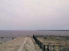 -南汇新城海滩