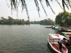 -莱西月湖公园