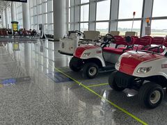 -石家庄正定国际机场-T2航站楼