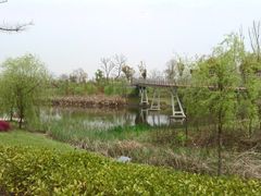 -江滩湿地公园