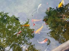-无染寺