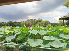 -承德避暑山庄景区